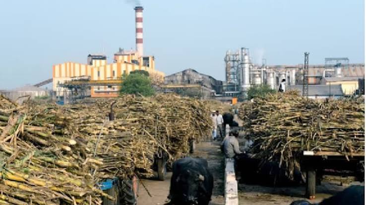 एक से दो दिन का इंतजार, फिर चीनी मिलेगी 60 रुपये किलो से भी कम में... - Sugar ex mill prices down now retail market price drop food secretary statement tuta - AajTak